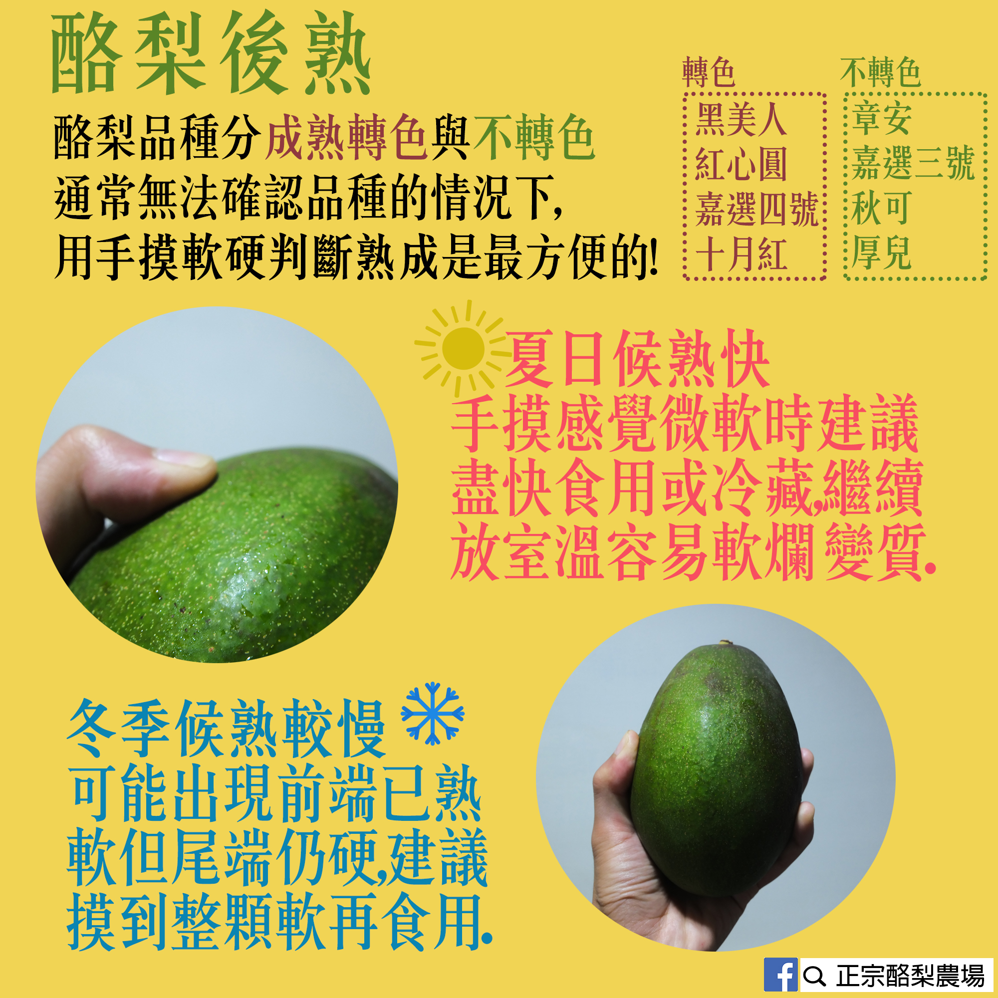 成熟判斷教學